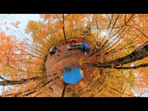 Explore Algonquin Park: Ultimate Travel Guide