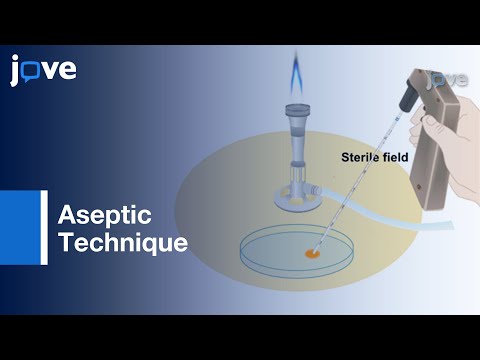 Aseptic Plating Methods in Microbiology to Maintain Sterility