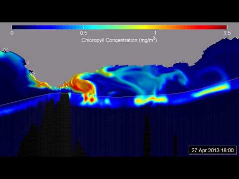 Chlorophyll concentration in Alboran Sea