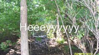 I Will...But Shedaisy lyrics