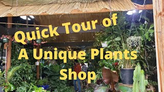 A quick tour of The Indoor Sun Shoppe