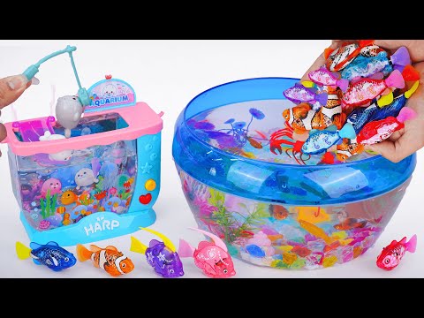 [Toy asmr] Baby Shark & Zuru Fish & Nino Fish & Turtle RC & Aquarium ASMR Satisfying with Unboxing