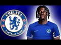 Here Is Why Chelsea To Sign Romeo Lavia 2023 🔵 Crazy Tackles, Goals, Skills & Assists (HD)