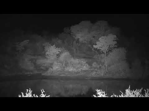 Djuma: Leopard-Molwati male quick walk by other side of dam-saws after - 03:22 - 06/19/20