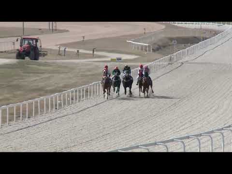 2022.03.27. 02. futam - IBOLYA HENDIKEP (III.o.) (szintetikus pálya)