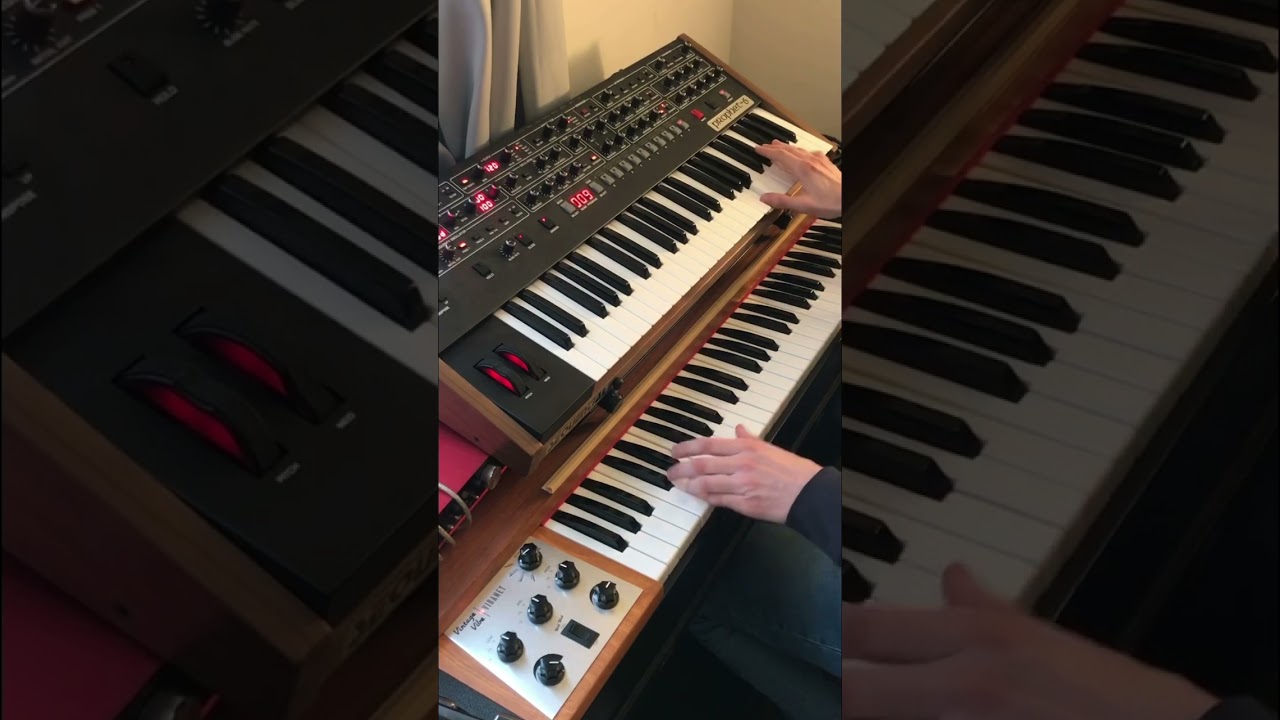 Clavinet groove + Prophet06 lines 🎹🎶👽