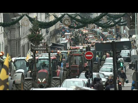 Video | Farmers protest in northern France over cattle cull | AFP