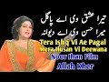 Tera Ishq Vi Aye Pagal||Noor Jhan Mujra||Punjabi Song||Jhankar Song||Remix Song||New Mujra Song