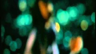 Lucky Dube - I want to know what love is