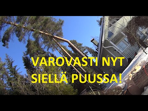 Älä tee tätä kotona - keikan loppuhuipennus