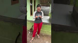 Download lagu Girl doing laundry mp3
