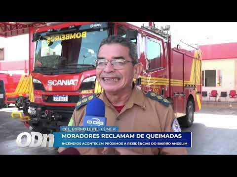 O Dia TV
