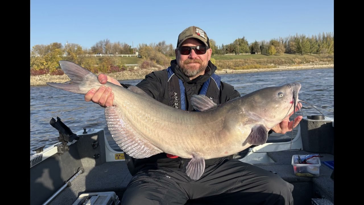October Fat Catfish, Lockport Manitoba.