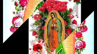 Cartel de santa Guadalupe