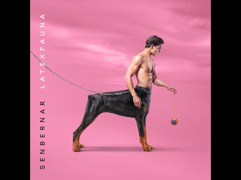 LATEXFAUNA Heroes of Might and Magic III / SENBERNAR / audio & lyrics