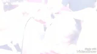 Cesar-cuts