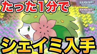 【ダイパリメイク】たった1分で幻のシェイミを捕まえられるバグを紹介します 【ブリリアントダイヤモンド・シャイニングパール】