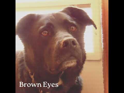 Video thumbnail qISTVM0InTk