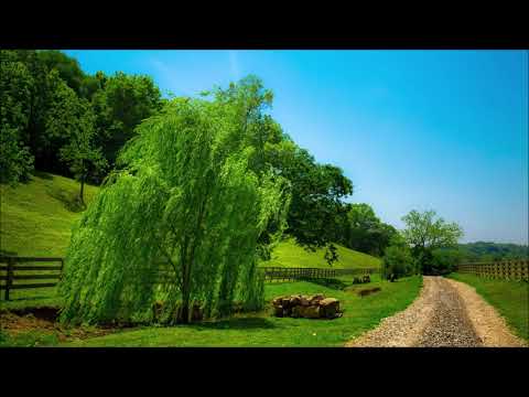 download lagu mp3 mp4 Clay Walker You Re Beginning To Get To Me, download lagu Clay Walker You Re Beginning To Get To Me gratis, unduh video klip Clay Walker You Re Beginning To Get To Me