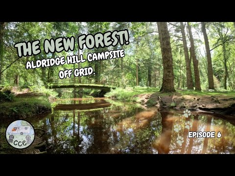 THE NEW FOREST Aldridge Hill Campsite with our Caravan OFF GRID. Ep6