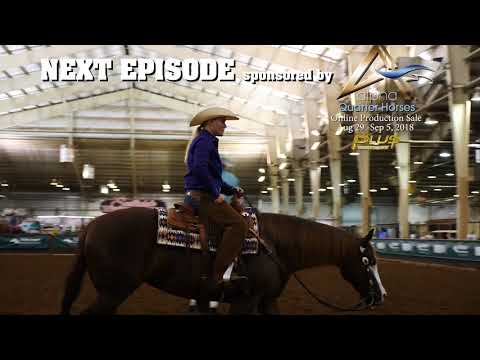 Horse of the West 2018 NRHA Open Derby TZ
