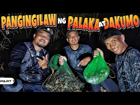 EP957-P1 - Pangingilaw ng Palaka at Dakomo