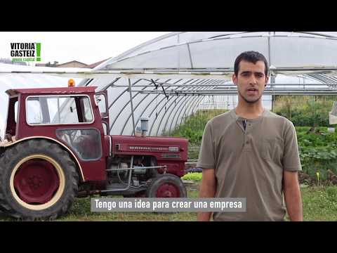 Plan de apoyo al emprendimiento