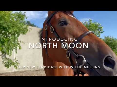 North Moon - our latest syndicate with Champion Trainer Willie Mullins