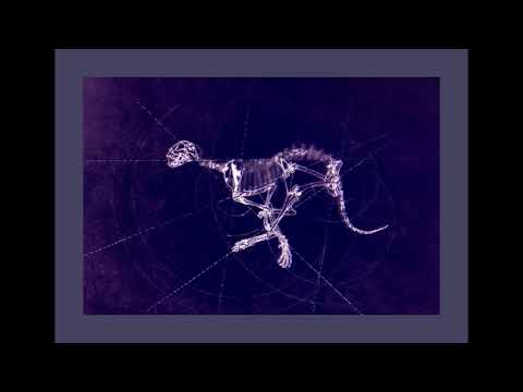 Epílogo Legión - 411n