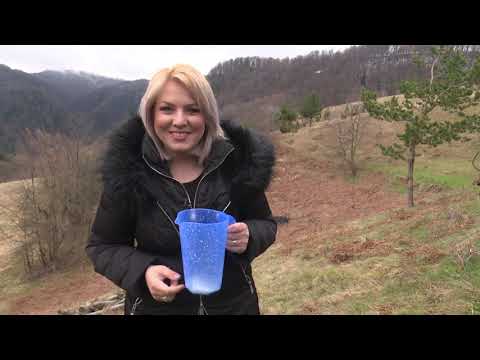 Priča o povratku: Vratio se iz Italije nakon 22 godine i otvorio farmu koza