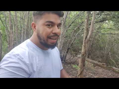 🏞️Part 3 lago do soares em Riachão das neves - ba