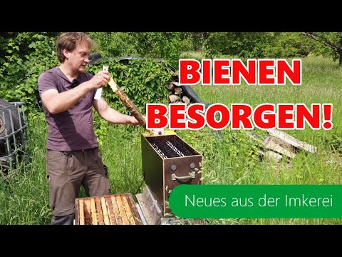 Bienen vermehren | Kunstschwarm erstellen | Abkehrmaschine | Apidea füllen | Feglingskasten