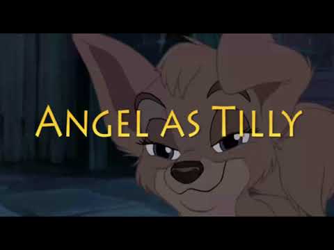 Banjo, the Long-Eared Christmas Woodpile Cat cast video