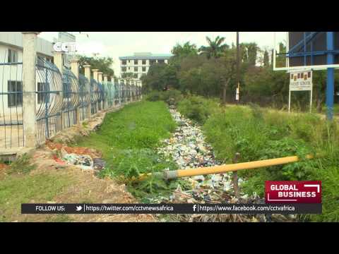 Tanzania: Entrepreneur uses maggots to eat through tonnes of food waste