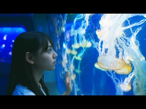 四期生ドキュメンタリー・フルバージョン「平岡 海月」