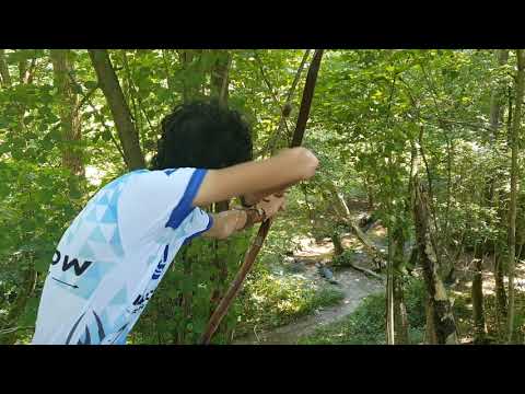 3d archery in the 3d bogenregion