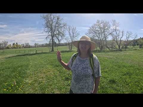 SCLT Big Goose Natural Area Tour - May 2025