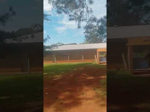 colonia lanuse wanda misiones