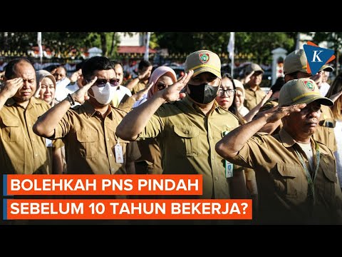 Bolehkah PNS Ajukan Mutasi Sebelum 10 Tahun? Ini Ketentuannya