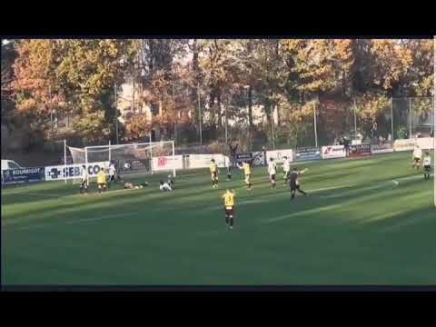 Fantastic Goal