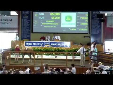 Manhattan Rain - Miss Excellence filly sold at the Magic-Millions