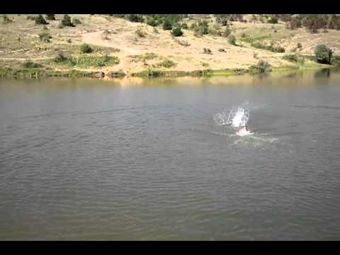 Penda e Bushtranit ( Arsim Hyseni )