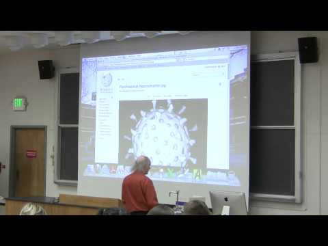 #22 Biochemistry Lecture (Viruses, Cancer and Oncogenes) from Kevin Ahern's BB 350