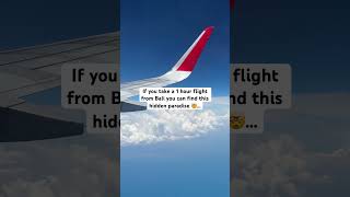 Download lagu This HIDDEN paradise is only a 1hr flight from Bali #travelshorts #indonesia #bali mp3 Download lagu This HIDDEN paradise is only a 1hr flight from Bali #travelshorts #indonesia #bali mp3