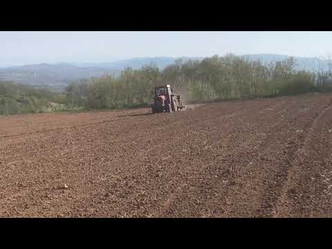 "DEKALB" hibrid 4717 + 300 kg uree/ha