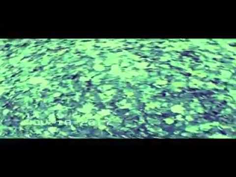 𝐆𝐇𝐎𝐒𝐓𝐎𝐅𝐁𝐋𝐔 - 𝕶𝖎𝖑𝖑 𝖈𝖔𝖓𝖋𝖎𝖗𝖒𝖊𝖉☠️