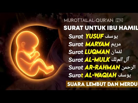 Murottal Ibu Hamil agar Janin Sehat – Bacaan Merdu Penyejuk Hati dan Pikiran.Reciter By Alaa Aqell