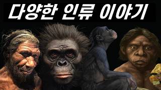 잠 못 이루는 밤 듣는 인류 진화 이야기! (고인류 몰아보기)