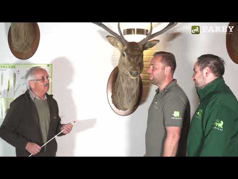 Parey Hunting Training - Exam Simulation Part 5 Red Deer