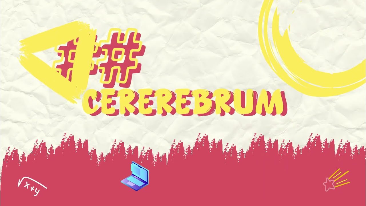 SOAL SNBT 2024 pdf -  Ini Rahasia Tersembunyi dalam SOAL SNBT 2024 PDF! Kunci Jawaban Paling Dicari!